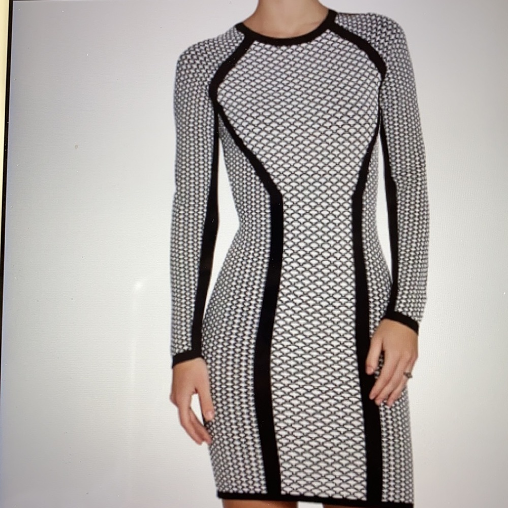 BCBG MaxAzria Elizabeth Dress